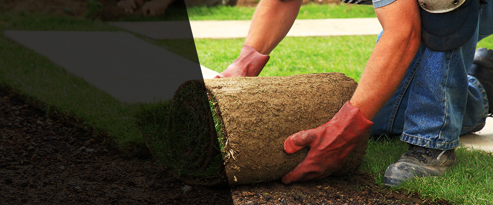 Island Lake Landscapers